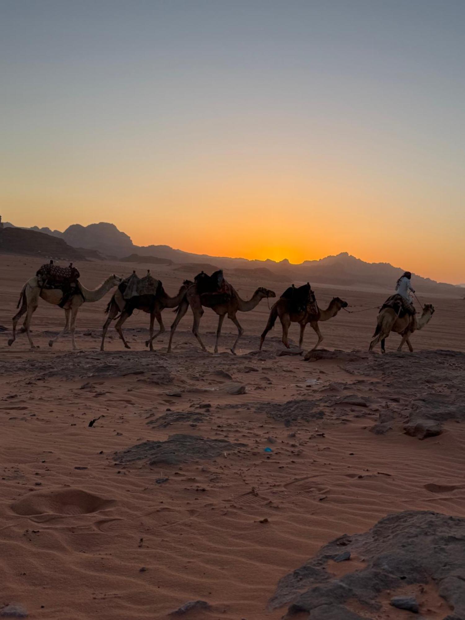 Faisal Wadi Rum Camp Esterno foto